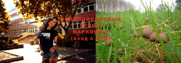 mdpv Дмитровск